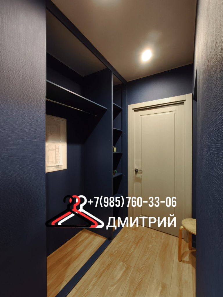 Расположение встроенного шкафа в интерьере узкой прихожей в Николо-Урюпино.